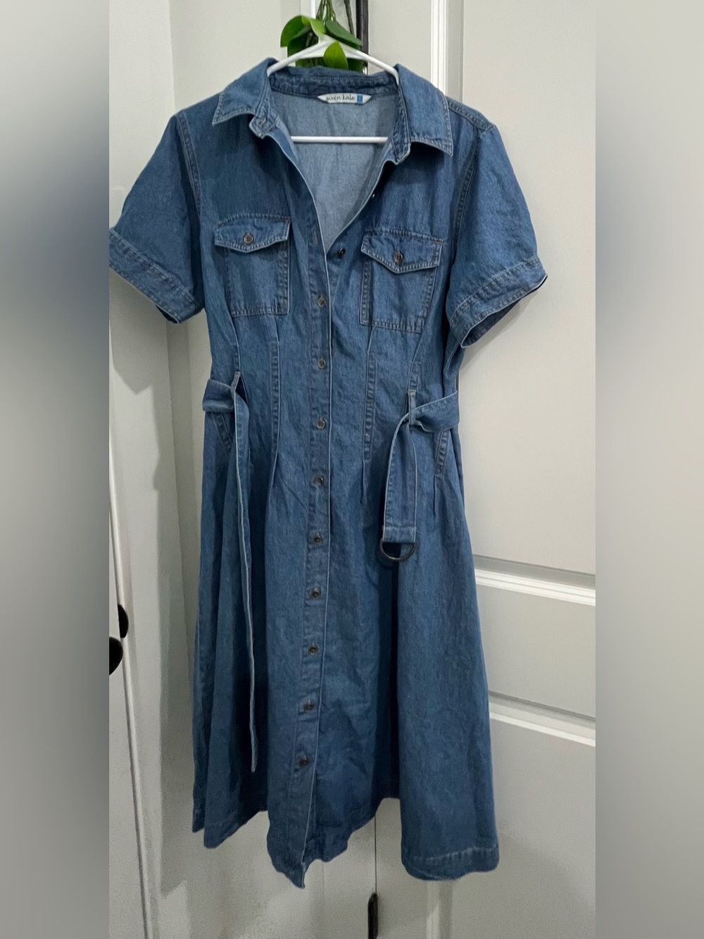 Denim Button-Front ladies Dress with Waist Tie - Blue
